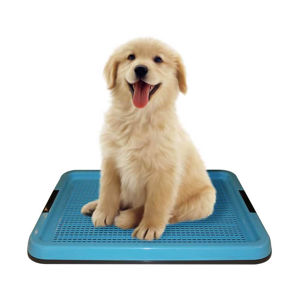 سینی آموزشی سگ